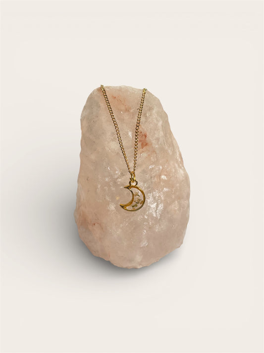 Necklaces, gold/stainless steel, real pressed florals