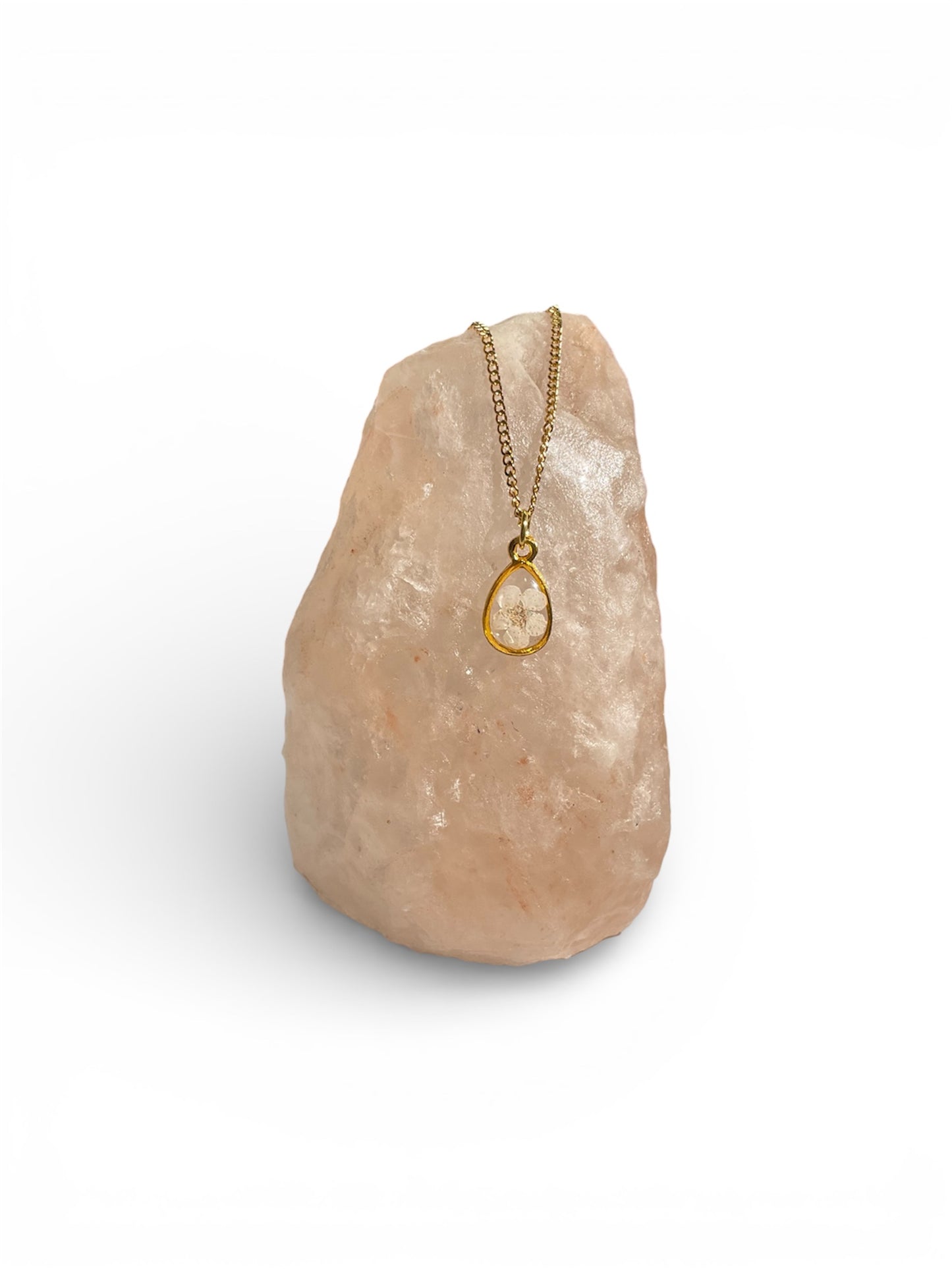 Necklaces, gold/stainless steel, real pressed florals