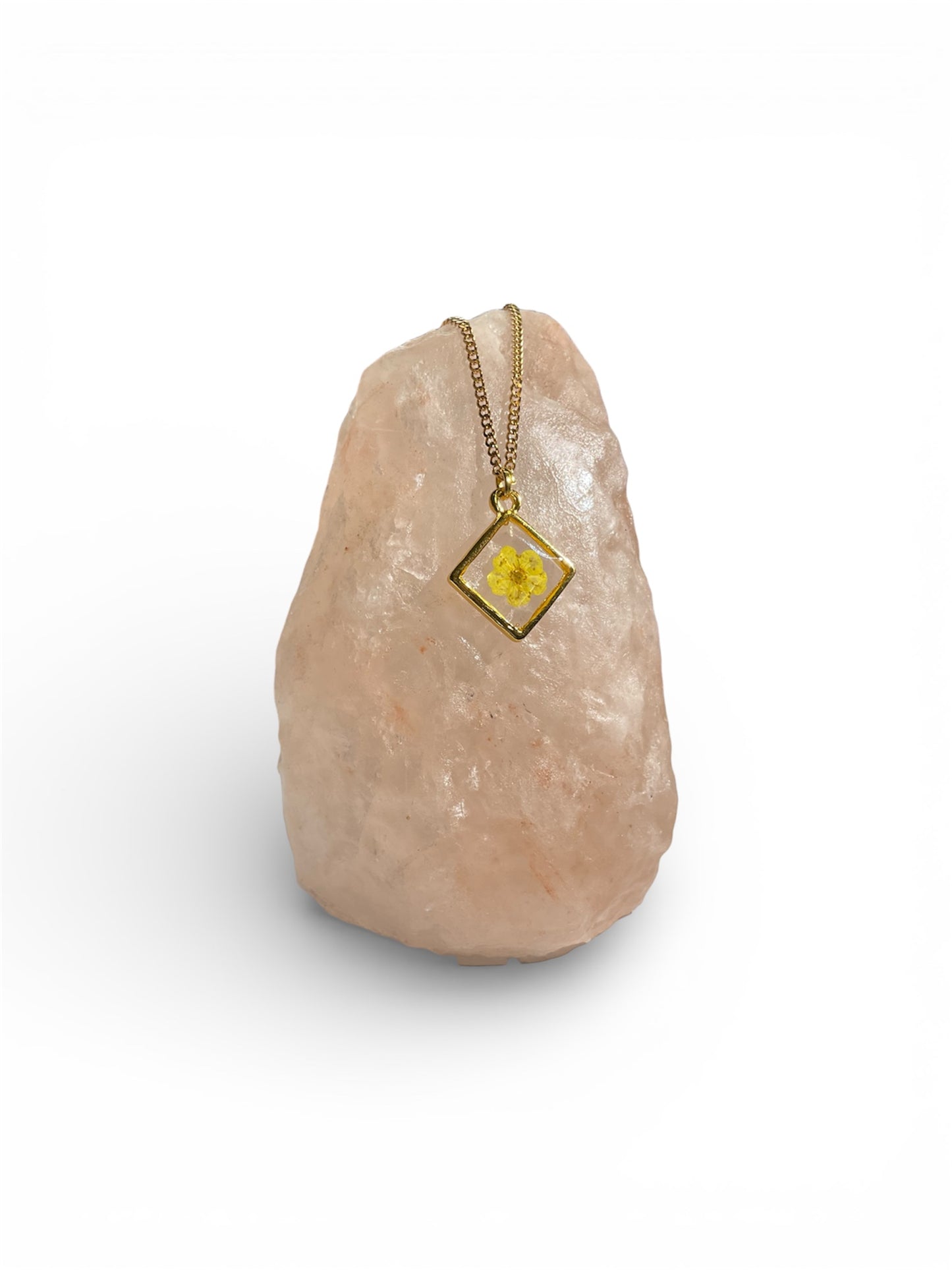 Necklaces, gold/stainless steel, real pressed florals