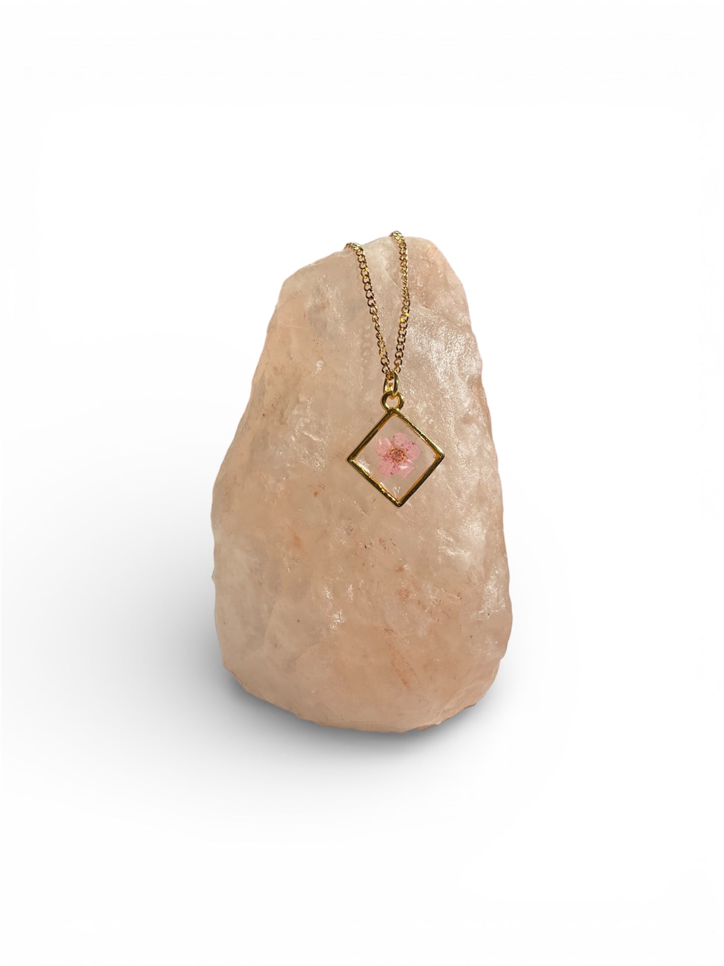Necklaces, gold/stainless steel, real pressed florals
