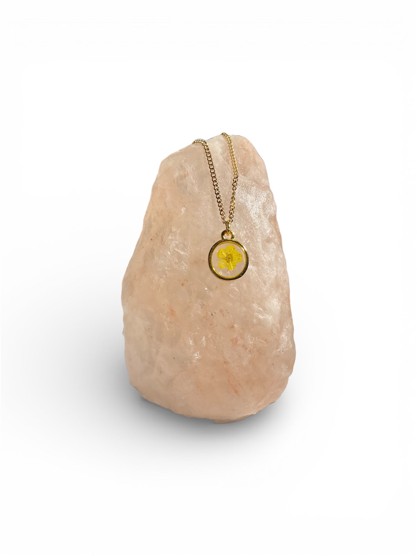 Necklaces, gold/stainless steel, real pressed florals