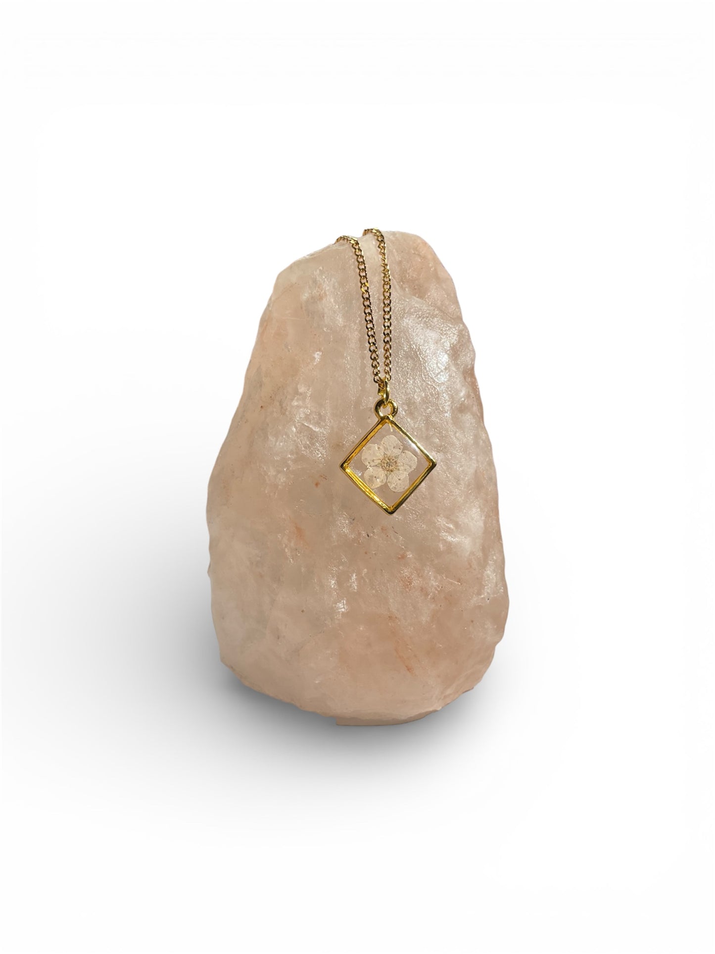 Necklaces, gold/stainless steel, real pressed florals